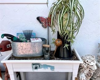 Potted Spider Plant/ Gardening Tools
