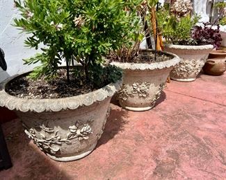 Cement Planters with Potted Plants