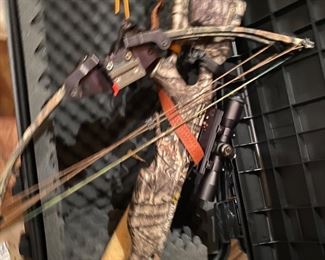 Ten point cross bow and case