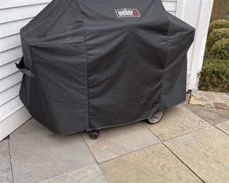 Weber Grill
