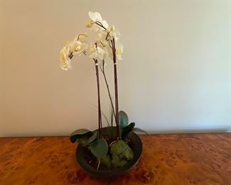 Ornamental orchid