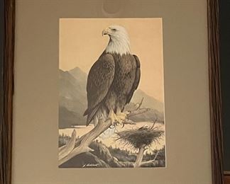Lithograph of Eagle and nest by