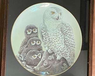 Framed hand painted Signed Hutschenreuther Germany Collector plates of Owls by John A Ruthven