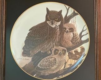 Hutschenreuther Germany Collector Owl plate painted by John A Ruthven 