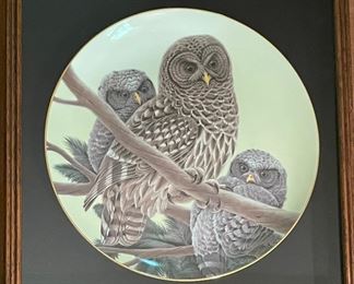 Hutschenreuther Germany Collector Owl plate 