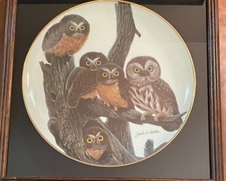 Hutschenreuther Germany Collector Owl plate painted by John A Ruthven 