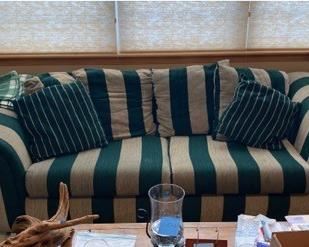 Green stripe couch