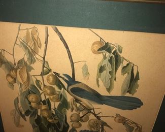 Items Located In The Central Hallway