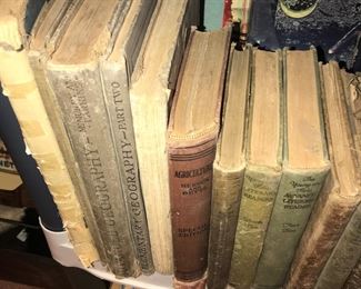 Items Located In The Central Hallway