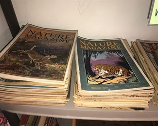 Items Located In The 1st Bedroom ( Vintage Pin Up & Ephemera)