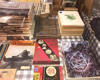 Items Located In The Basement