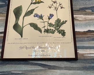 Vintage mounted Botanical prints