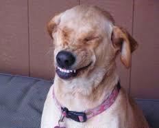 When you get to the sale at the crack of dawn and the person in front of you is after the same item😬