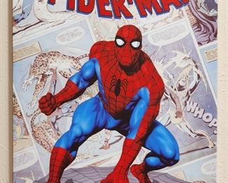 The Amazing Spider-Man Wall Canvas Poster