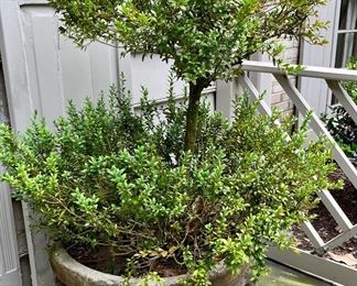 One of two available