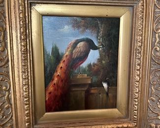 Fantastic peacock pic