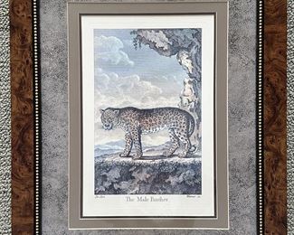 Panther Framed Art