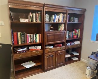 Huge Collection of Books & Bookshelves