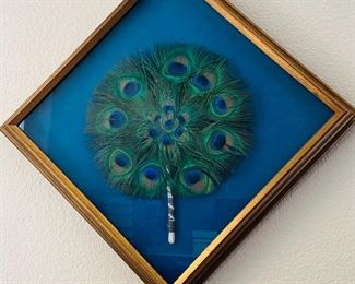 Framed Peacock Feather
