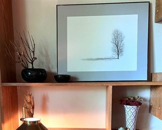 Steve Snyder - Winder trees 