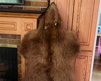 Approx 4' Brown Bear hide