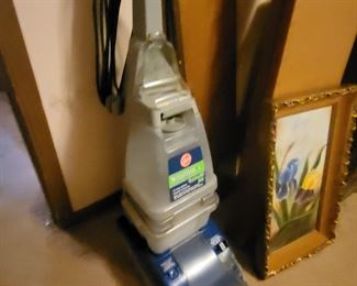 Carpet cleaner