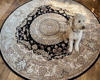 Nourison 2000 8' Round Area Rug. Dog not for Sale.