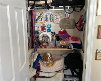 Doggie Closet