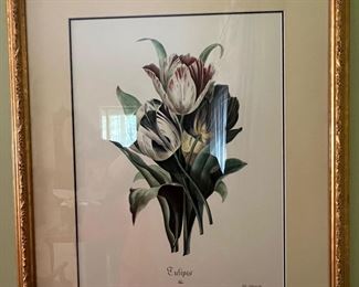 3. "Tulips" Botanical Print by Galle Gallignani (22" x 28")