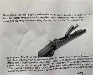 info on the springfield gun 