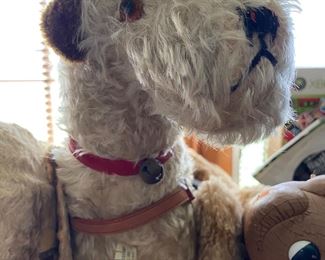 Knickerbocker Terrier dog with original tags 