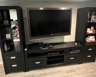 Entertainment Center and TV