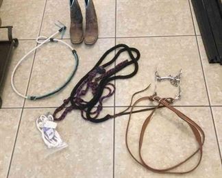Bridle Reins and Boots