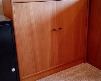Storage Cabinet 