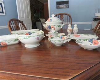 Villeroy and Bach Amapola Set - 9 piece setting