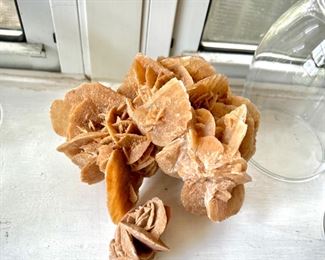Desert rose gypsum crystal