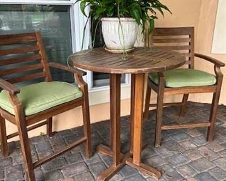 bar height table and 2 barstools, plant