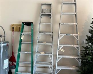 Werner Ladder