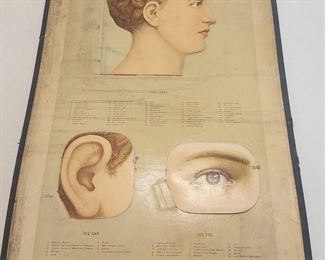 1800s medical book