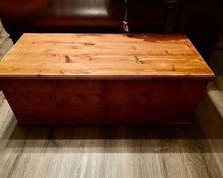 Cedar Trunk