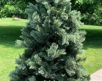 7 1/2’ pre-lit artificial tree. Xmas IS coming…, sadly.