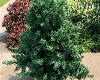 4’ artificial tree…, don’t want a huge tree? This is the one for YOU!