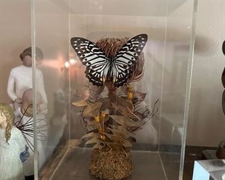 Diorama of Butterfly 
