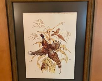Vintage ring-necked pheasant print by James Lockhart, matted and framed.