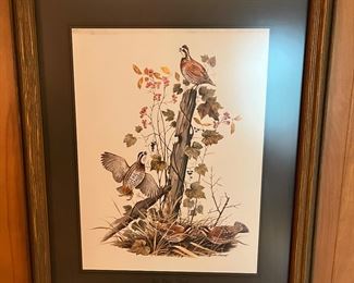 Vintage Bob-white quail print by James Lockhart, matted and framed.