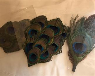 Peacock feathers