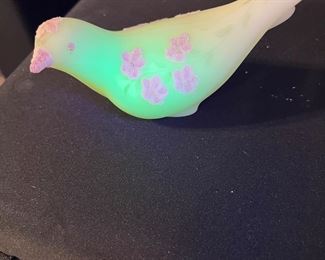 Bird under black light