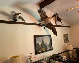 DUCK AND GOOSE MOUNTS