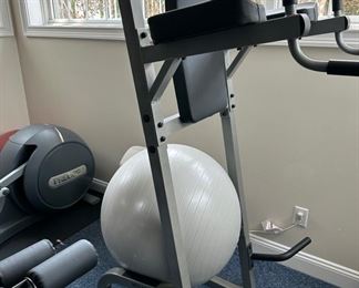 Body Solid vertical knee raise machine