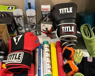 Exercise, Sporting and Recreation Equipment - THERABAND flexbar, boxing gloves, hand wraps